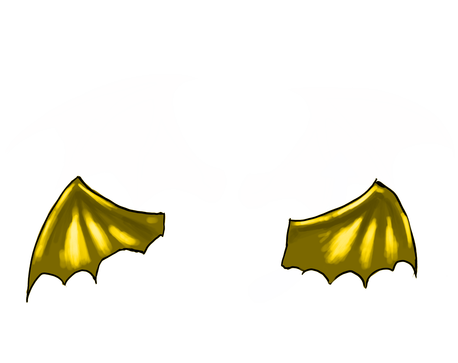 image failed to load