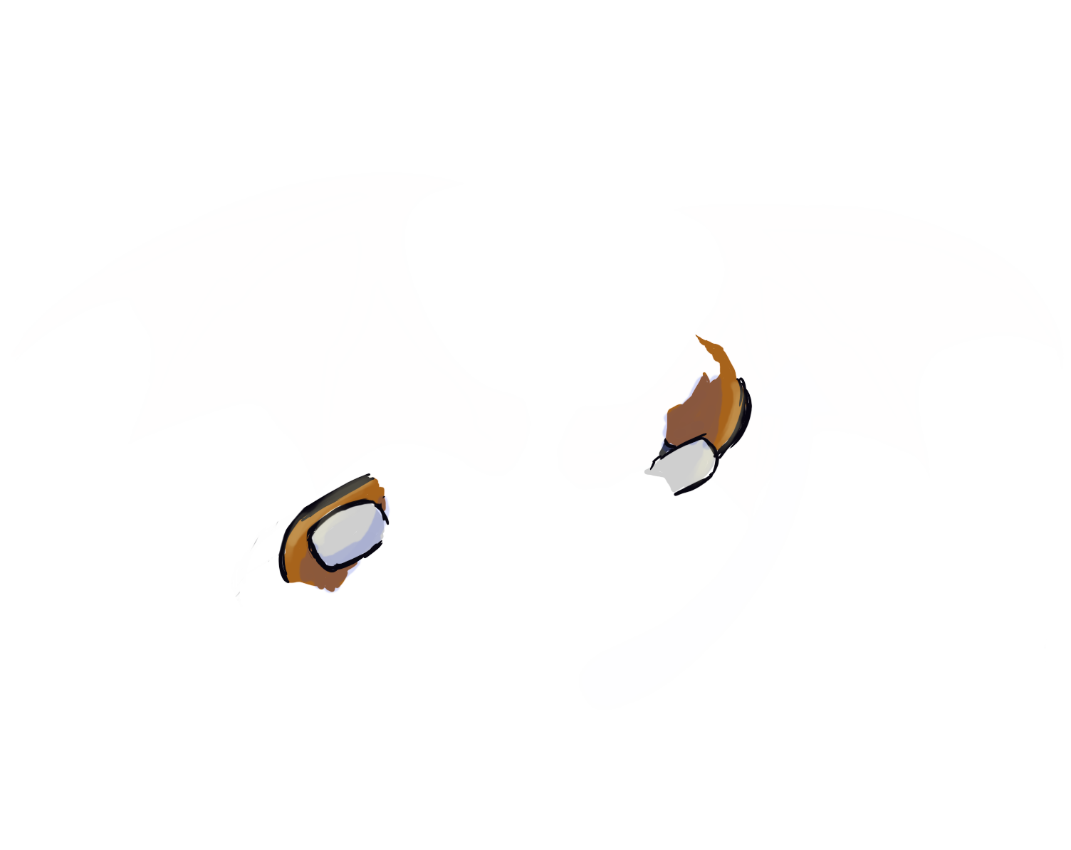 image failed to load