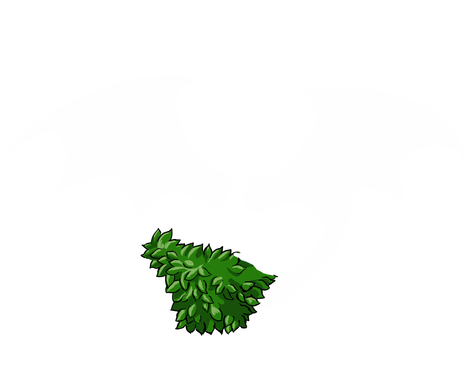 image failed to load