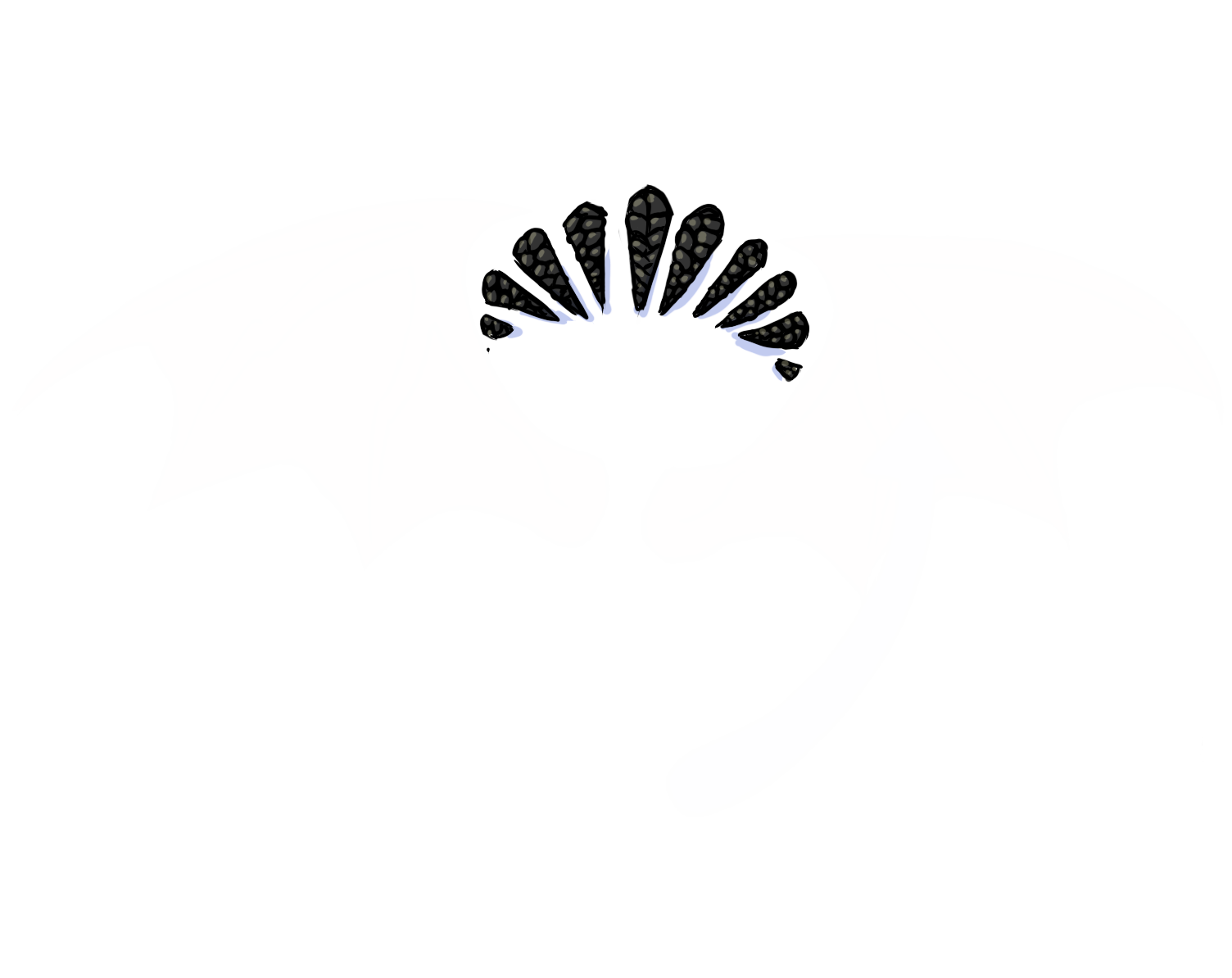 image failed to load