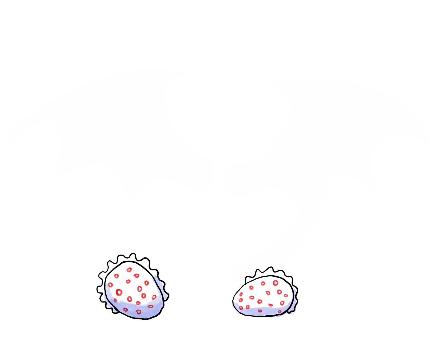 image failed to load