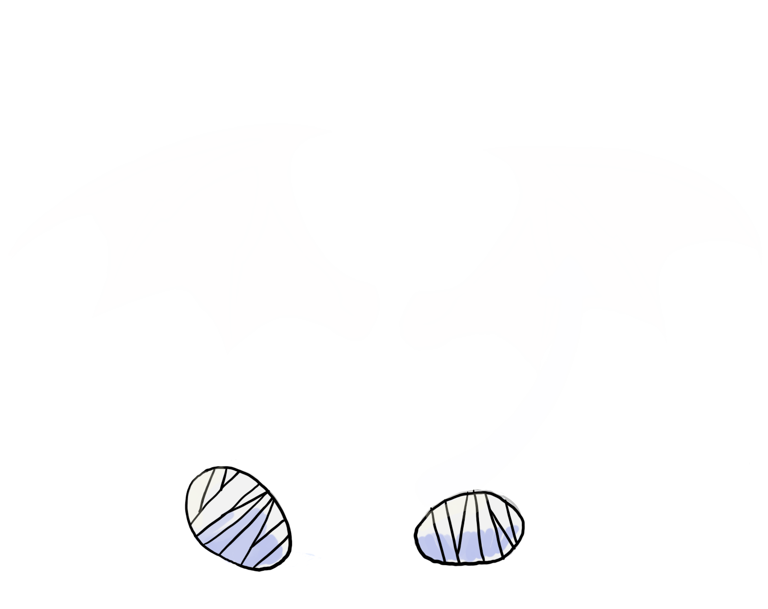  image failed to load