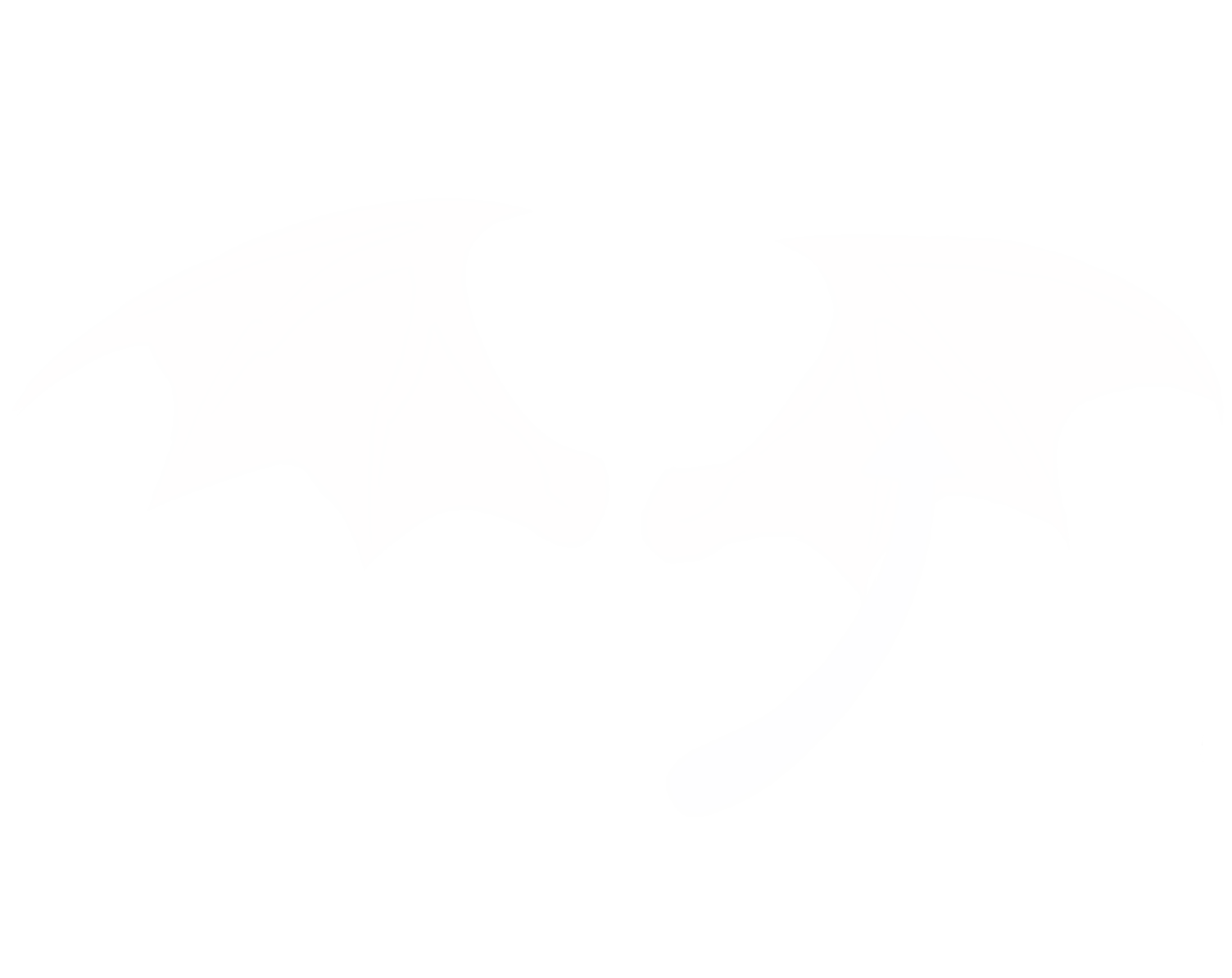 image failed to load