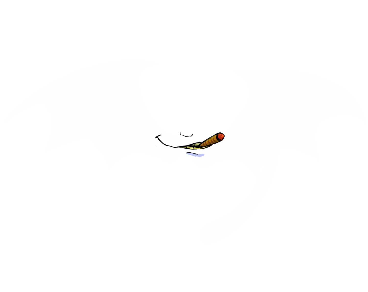  image failed to load